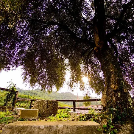 Nyaraló Pena De Roca