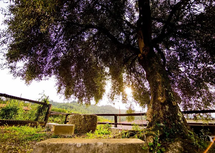 בית נופש Pena De Roca