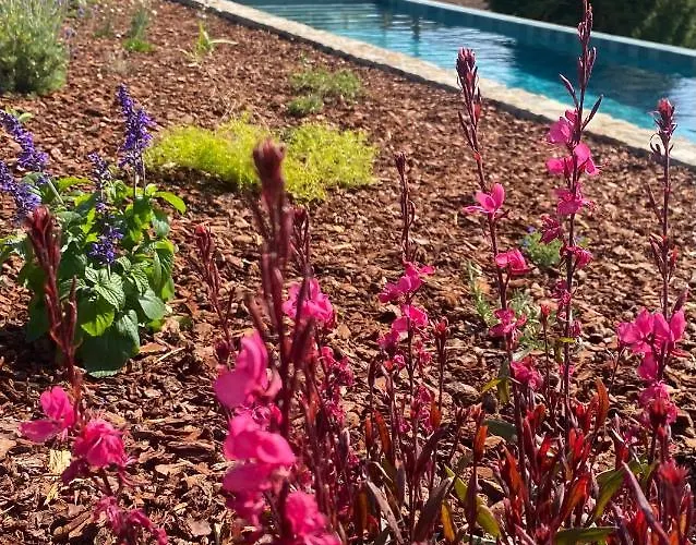 Pena De Roca Vakantiehuis Comarca de Pontevedra